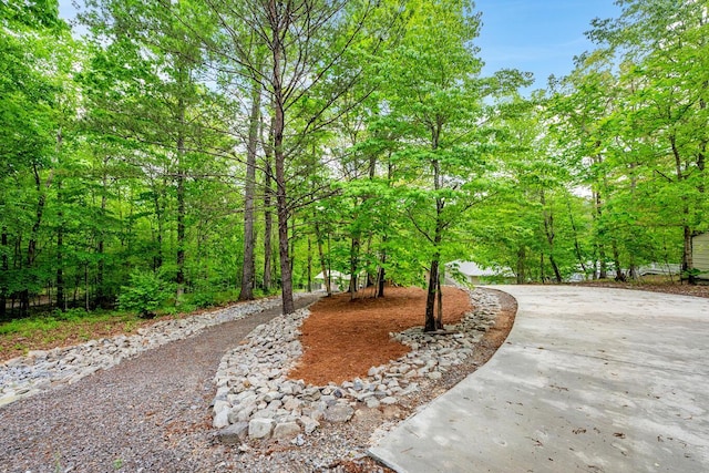 view of community with driveway