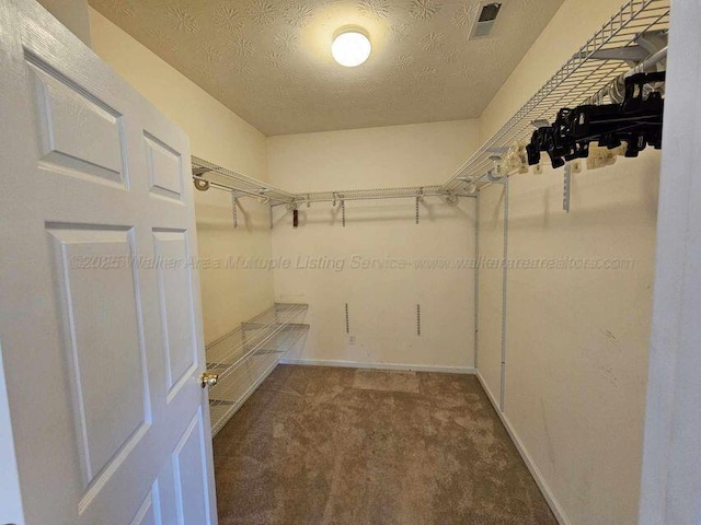 343 T C Grace Rd, Jasper, AL 35504 - photo 22
