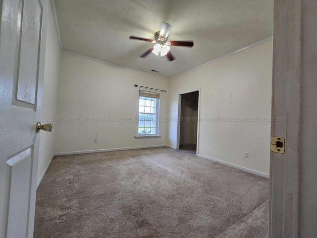 343 T C Grace Rd, Jasper, AL 35504 - photo 17