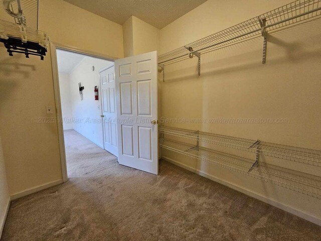 343 T C Grace Rd, Jasper, AL 35504 - photo 23