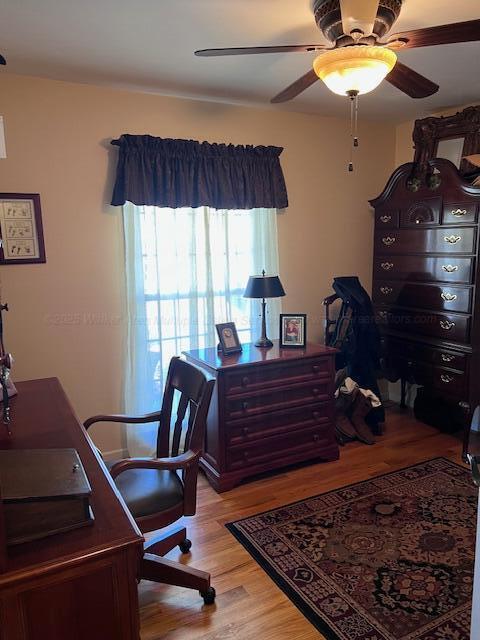 office area featuring light wood-style flooring and ceiling fan