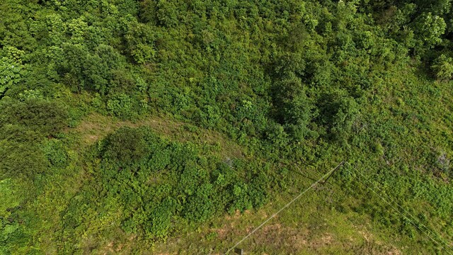 LOT64 Shoreside Dr, Double Springs, AL 35553 - photo 9