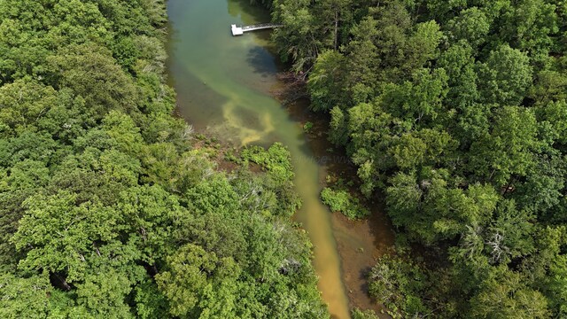 LOT64 Shoreside Dr, Double Springs, AL 35553 - photo 6