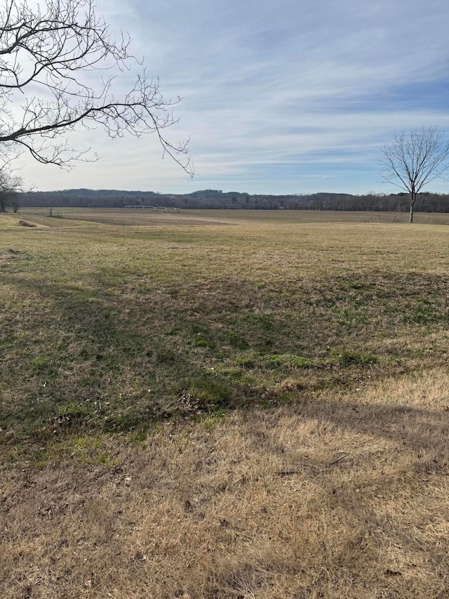 Military St, Hamilton, AL 35570 - photo 2