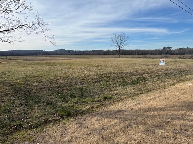 Military St, Hamilton, AL 35570 - photo 3