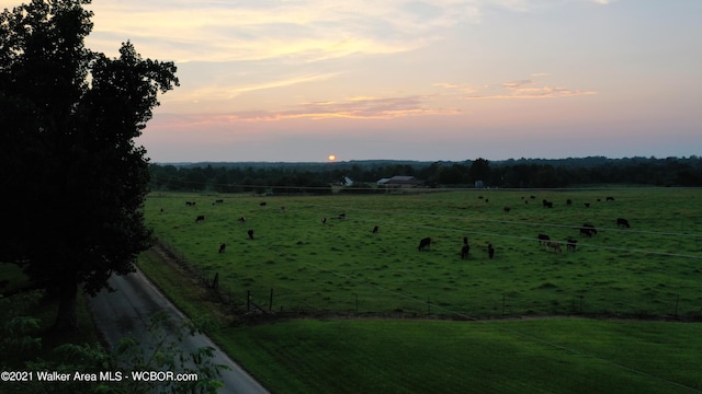 12 Dover Rd, Haleyville, AL 35565 - nature at dusk with a rural view
