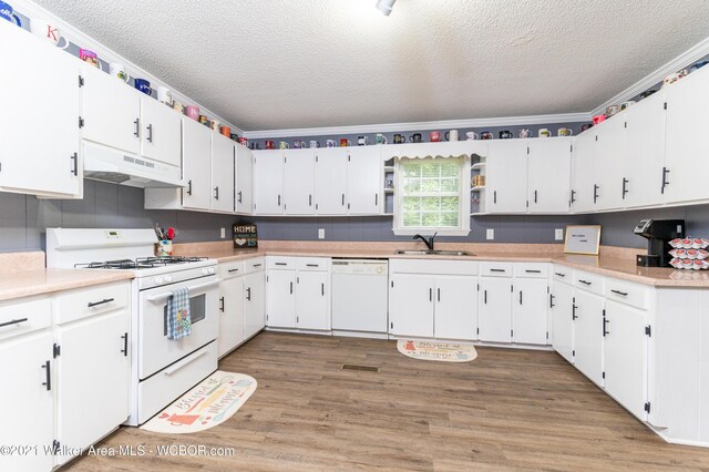 12 Dover Rd, Haleyville, AL 35565 - kitchen with a textured ceiling, under cabinet range hood, white appliances, light wood finished floors, and a sink