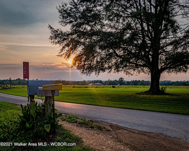 12 Dover Rd, Haleyville, AL 35565 - view of street
