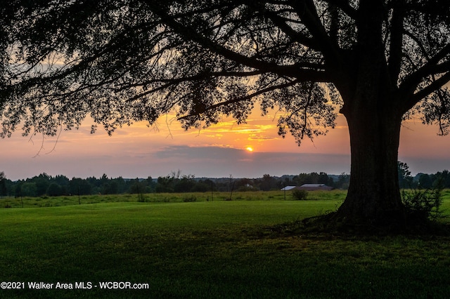 12 Dover Rd, Haleyville, AL 35565 - nature at dusk featuring a rural view