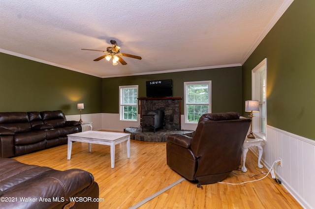 12 Dover Rd, Haleyville, AL 35565 - living room with a healthy amount of sunlight, a wainscoted wall, and hardwood / wood-style flooring