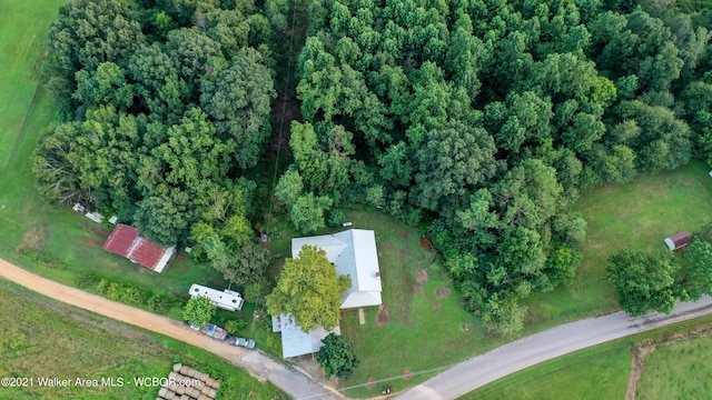 12 Dover Rd, Haleyville, AL 35565 - drone / aerial view