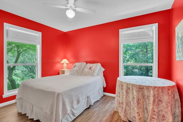 bedroom featuring multiple windows, wood finished floors, and baseboards