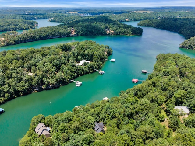 birds eye view of property with a water view and a forest view