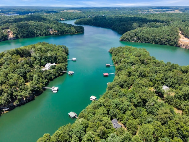birds eye view of property with a water view and a wooded view