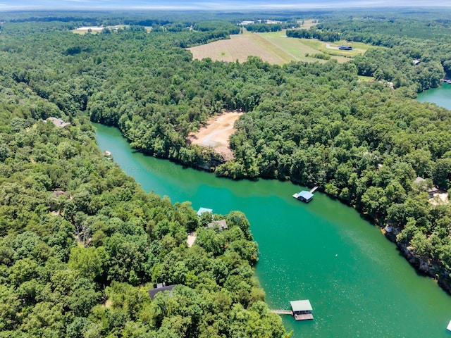 bird's eye view with a forest view and a water view