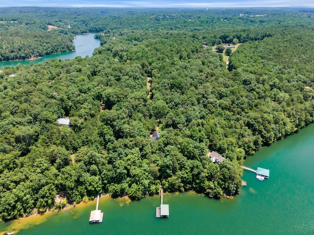 bird's eye view with a water view and a view of trees
