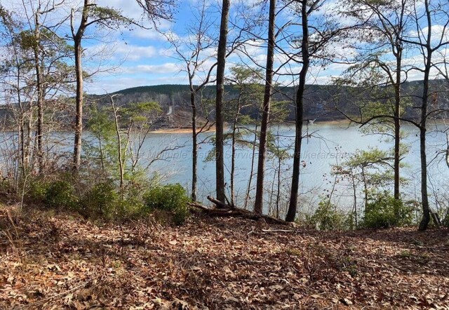 Longview Landing Ln, Arley, AL 35541