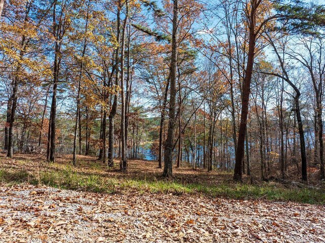Longview Landing Ln, Arley, AL 35541