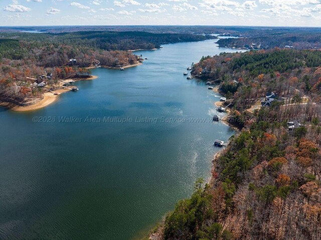 Longview Landing Ln, Arley, AL 35541