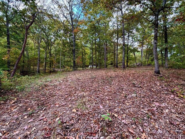 Longview Landing Ln, Arley, AL 35541