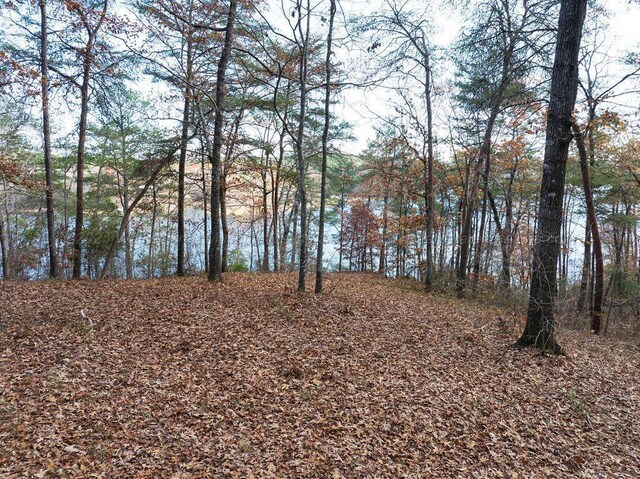 Longview Landing Ln, Arley, AL 35541