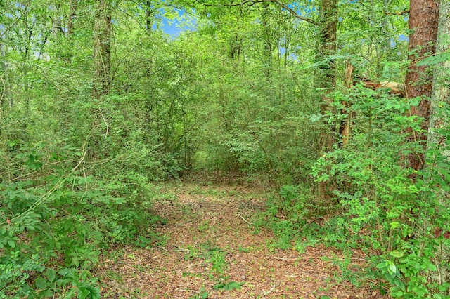 0 County Road 707, Cullman, AL 35055 - photo 5