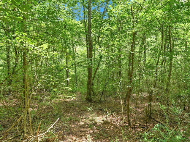0 County Road 707, Cullman, AL 35055 - photo 15