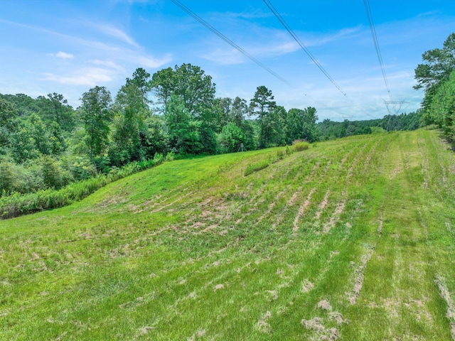 0 County Road 707, Cullman, AL 35055 - photo 11