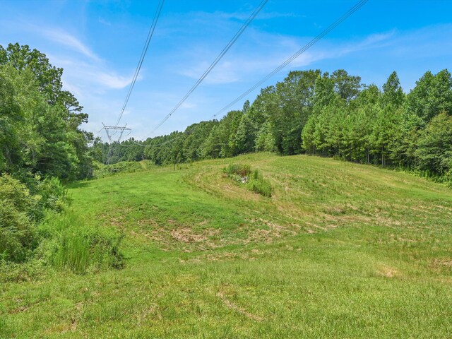 0 County Road 707, Cullman, AL 35055 - photo 13