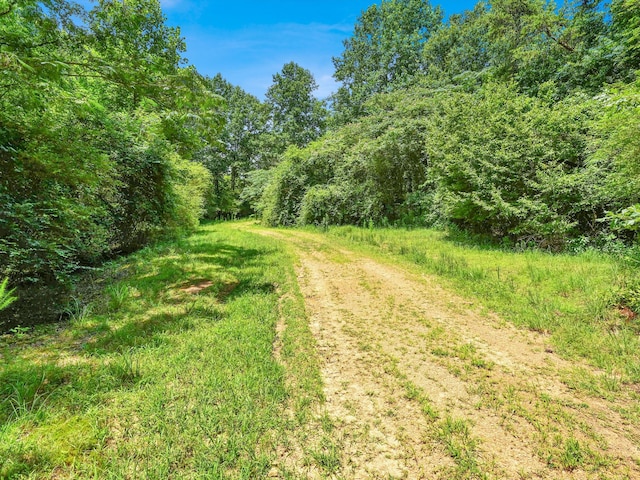 0 County Road 707, Cullman, AL 35055 - photo 14