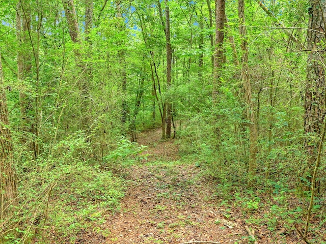 0 County Road 707, Cullman, AL 35055 - photo 16