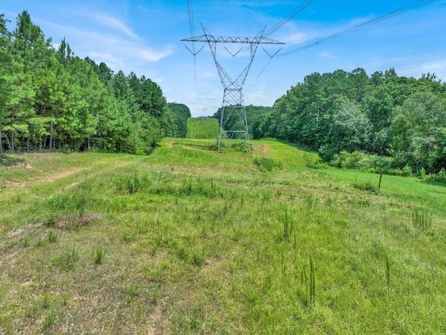 0 County Road 707, Cullman, AL 35055 - photo 17
