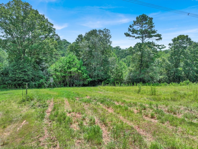 0 County Road 707, Cullman, AL 35055 - photo 12
