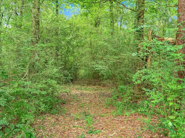 0 County Road 707, Cullman, AL 35055 - photo 7