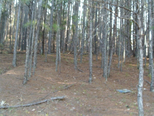 Lake Pointe Dr, Arley, AL 35541