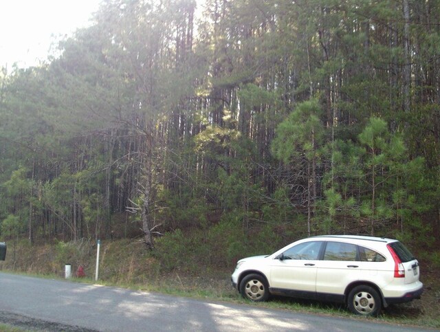 Lake Pointe Dr, Arley, AL 35541