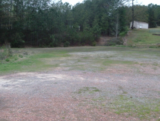 Lake Pointe Dr, Arley, AL 35541