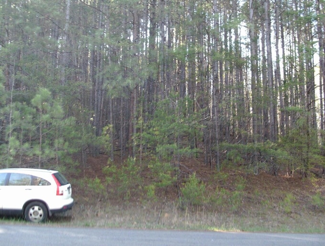 Lake Pointe Dr, Arley, AL 35541