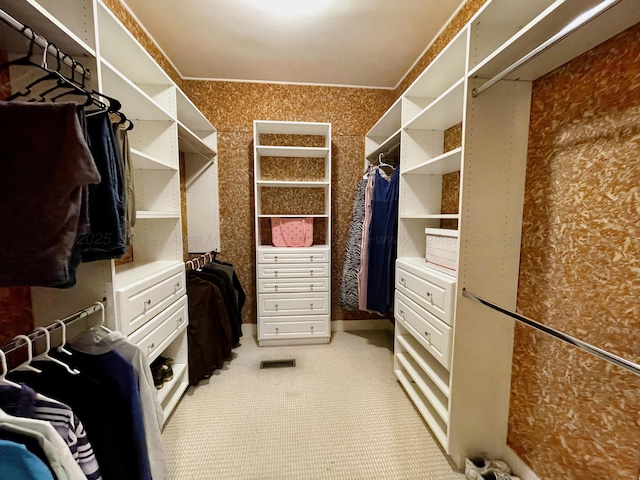 view of walk in closet