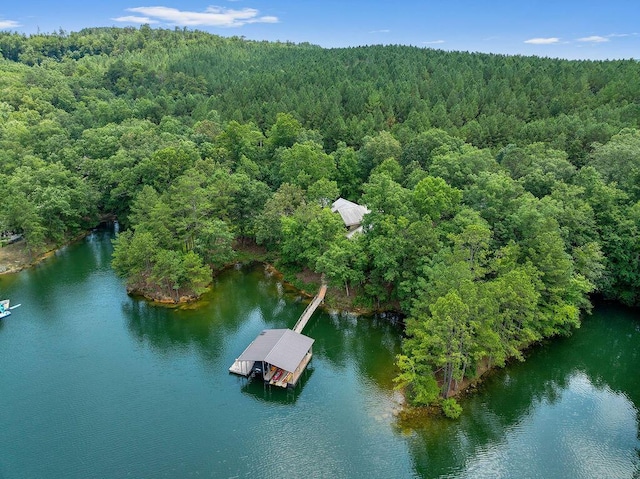 828 Brushy Ln, Arley, AL 35541 - photo 49