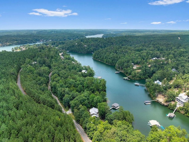 828 Brushy Ln, Arley, AL 35541 - photo 44