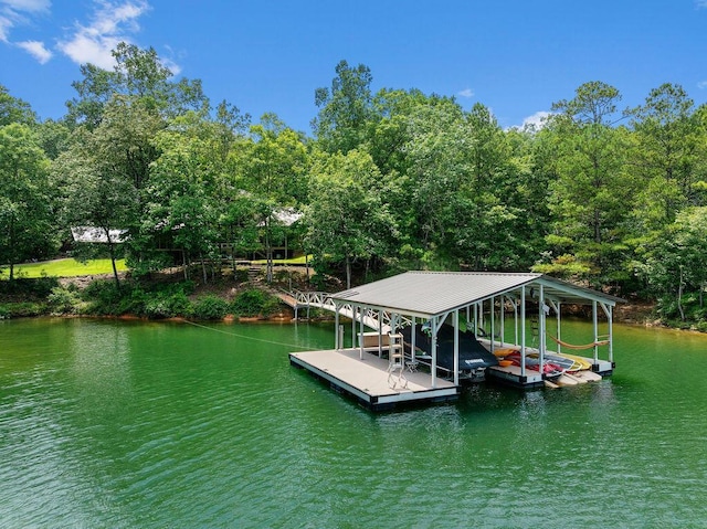 828 Brushy Ln, Arley, AL 35541 - photo 42