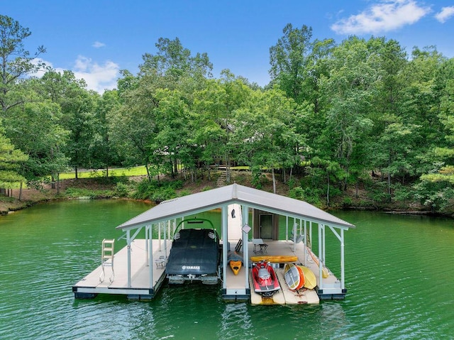 828 Brushy Ln, Arley, AL 35541 - photo 8