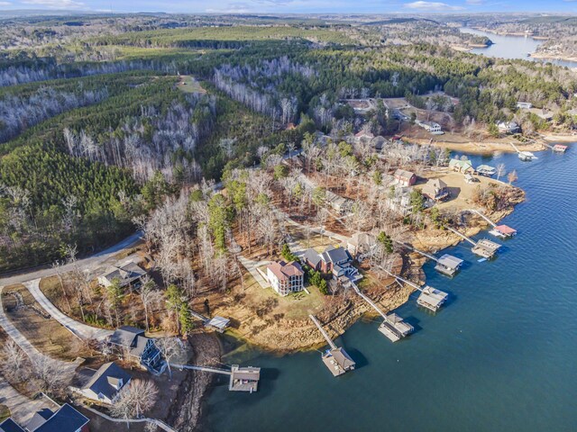 215 S Pointe Dr, Arley, AL 35541 - photo 50