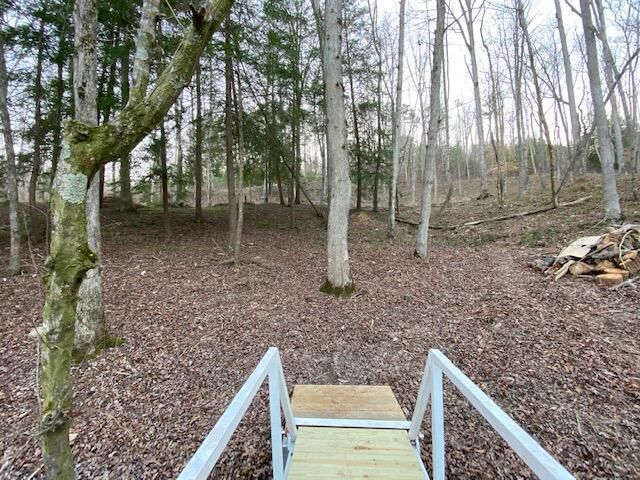LOT14 Legends Ln, Arley, AL 35541 - photo 5