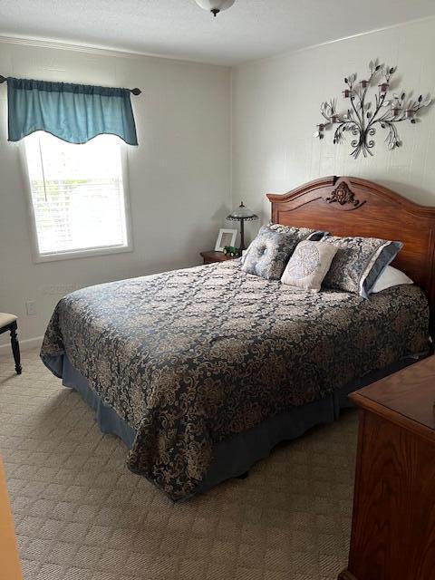 915 County Highway 4, Winfield, AL 35594 - view of carpeted bedroom