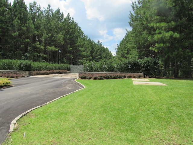 117 Turtle Point Dr, Crane Hill, AL 35053 - photo 33