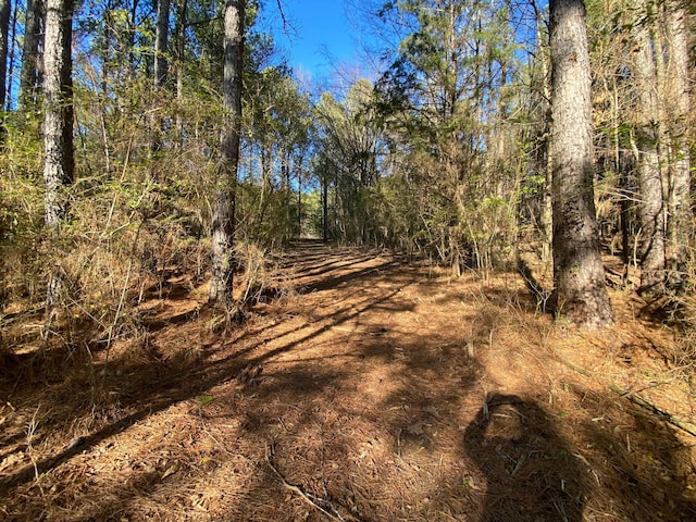 view of nature featuring a wooded view