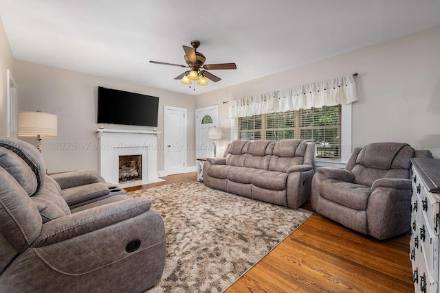 living room featuring ceiling fan and wood-type flooring