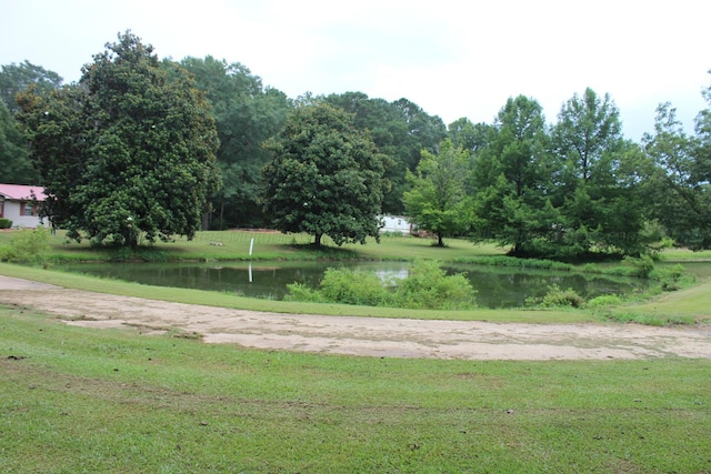230 Roy Dailey Rd, Nauvoo, AL 35578 - photo 3